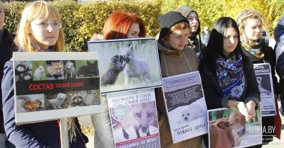 10 декабря- Международный День Прав Животных. Мингорисполком отказал в проведении акции!