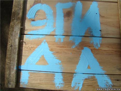 Приют для собак