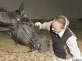 Основные правила обращения с лошадью