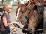 Потребность лошади в питательных и минеральных веществах