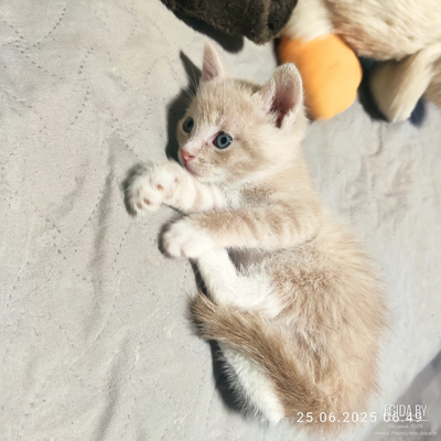 Мальчик в хорошие руки
