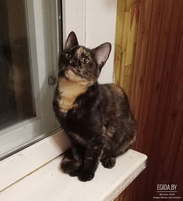 Маня