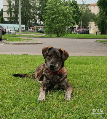 Сабина