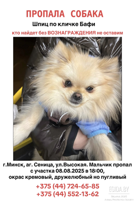 ПРОПАЛА СОБАКА