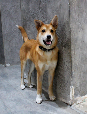 Прекрасная девочка в дар