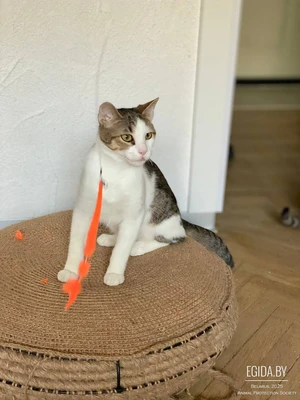 подари себе радость)