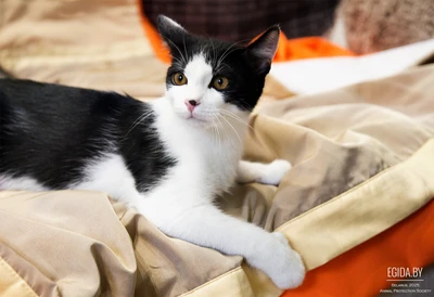 Мартин ищет семью