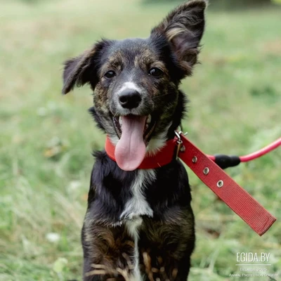 Луна готова к переезду в свою семью.