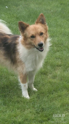 Нужна помощь. Сердце разрывается.