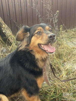 Невероятная красавица Адель мечтает покорить ваше сердце