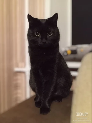 Особенная Тучка ищет любящую семью