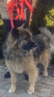 Потрясающая красавица Линда, нежная, ласковая девочка в поисках любящей Семьи