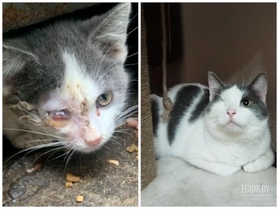 ПОЖАЛУЙСТА, НЕ ПРОХОДИТЕ МИМО