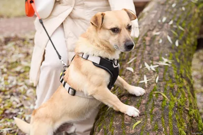 Мальчик ищет дом