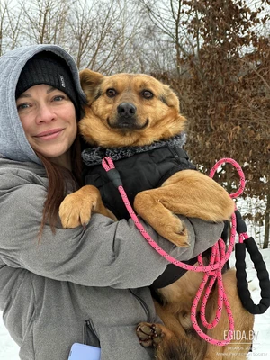 Рокки очень ждёт свою семью