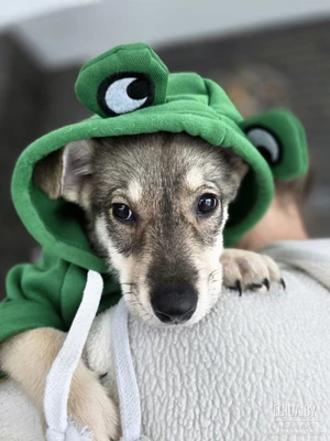 Малышка Юна в добрые руки