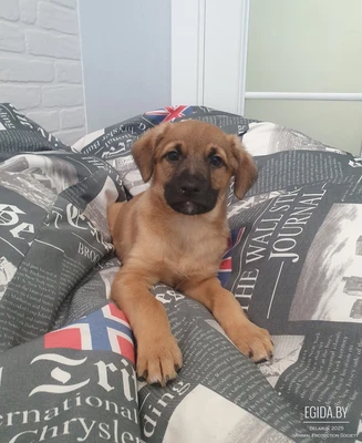 Гарика нашли в мороз на стройке,ищем семью