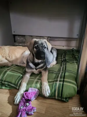 Подросток Мишка ищет свою семью