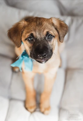 Я такой нарядный, спокойный,добрый и никому ненужен?