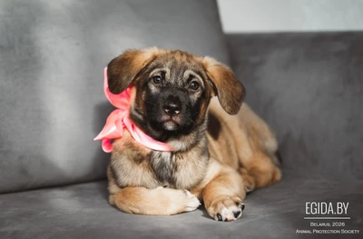 Мамочка, ты меня ищешь?А я здесь...