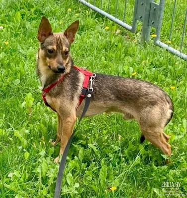 мелкий паренек Сержик ищет семью