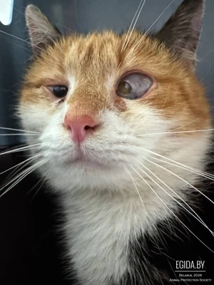 СРОЧНО НУЖНА ПОМОЩЬ!