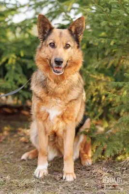 Всегда на позитиве