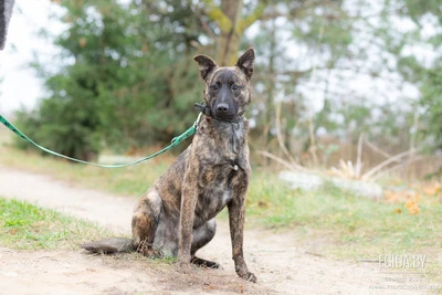 Сокровище Архан