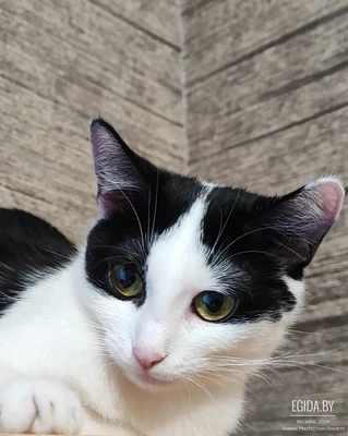 Малышка ждёт мам, пап