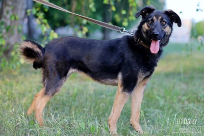 Зара ищет дом