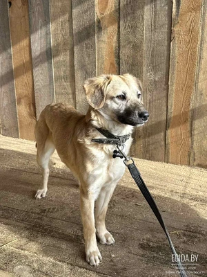 Чудесная Моника ищет свою семью!!!