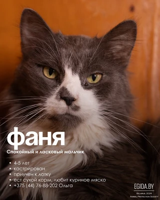 Sos очень срочно нужен дом