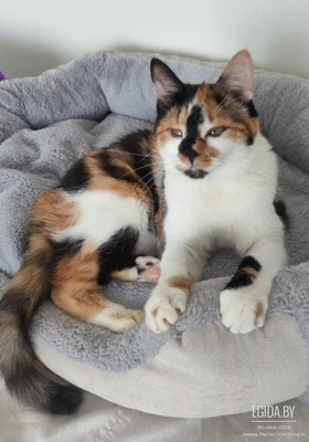 Обаятельная Сонечка ищет семью