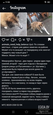 Помогите пёсику!