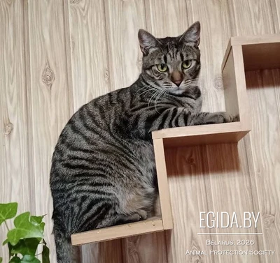 Андрюша