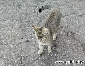 Помогите найти