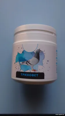 Ронидазол (триховет)