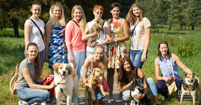 Волейбольный клуб «Минск» совместно с ООЗЖ «Эгида» организовал фотосессию с собаками из приюта