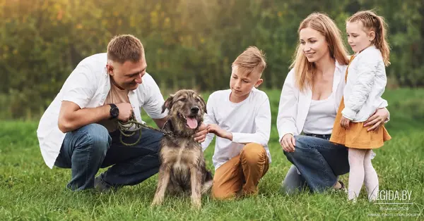 23.08.2026 - Благотворительная акция «Дорога домой», пространство «Эхо», 13:00-18:00
