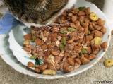 Особенности питания кошек