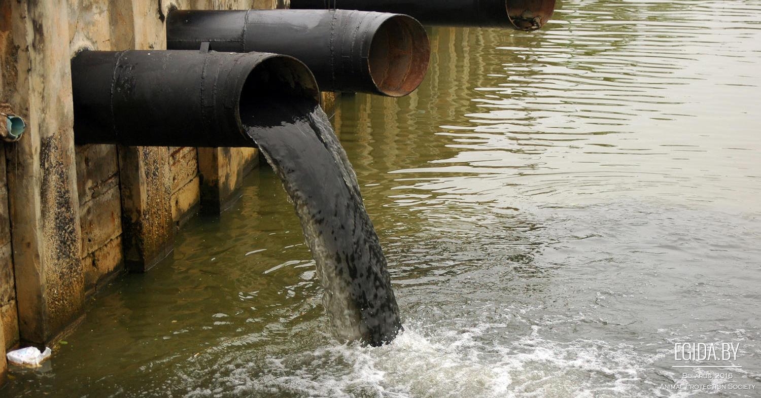 Сточные воды вред. Загрязнение воды. Промышленные сточные воды. Выброс отходов в реку.