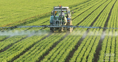 Пестициды и химикаты в мясе и в растениях