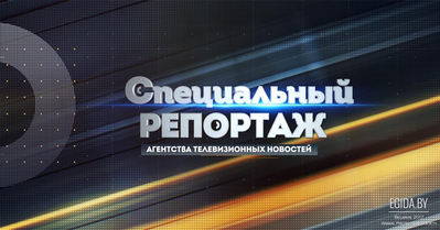 Программа «Специальный репортаж». Сюжет «Собачья жизнь». Беларусь 1, эфир от 14.11.2017